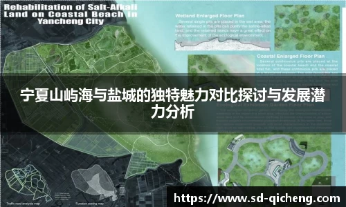 宁夏山屿海与盐城的独特魅力对比探讨与发展潜力分析